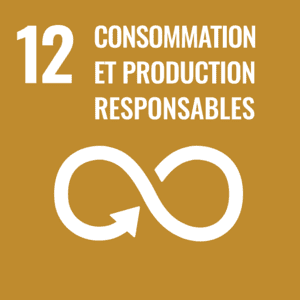 consommation et production responsables